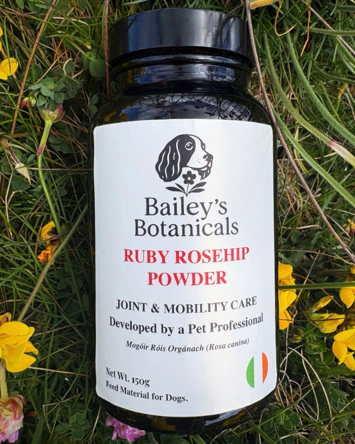 Ruby Rosehip Powder