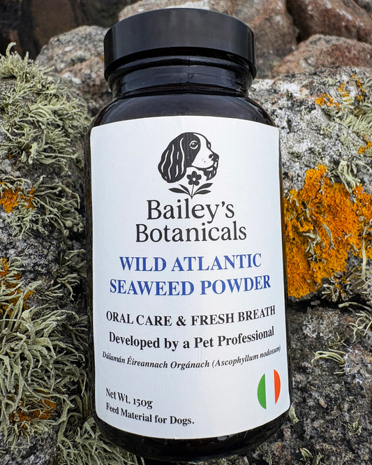 Wild Atlantic Seaweed Powder